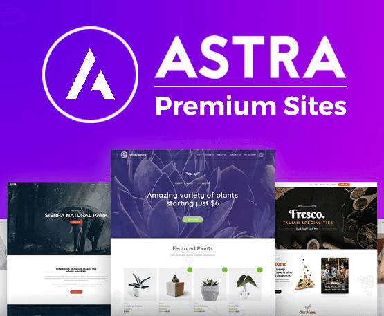 astra pro starter templates