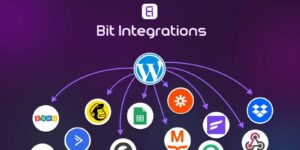 Bit Integrations Pro