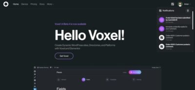 Voxel Multi Purpose Wordpress Dynamic Theme